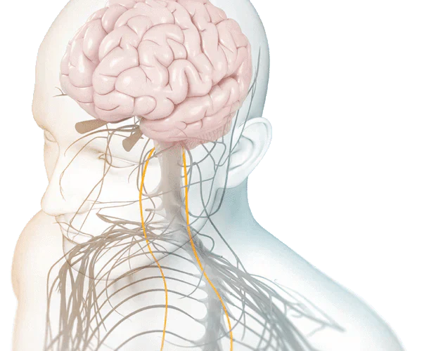 Personalized Auricular Non-invasive Vagus Nerve Stimulation System for Inflammatory Bowel Disease Treatment